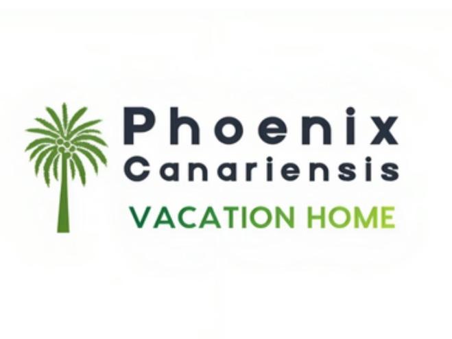 Phoenix Canariensis Apartment